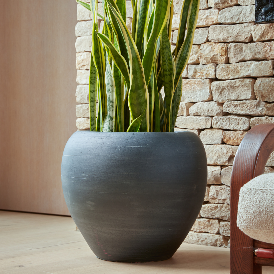 Amora | Indoor Plant Pot