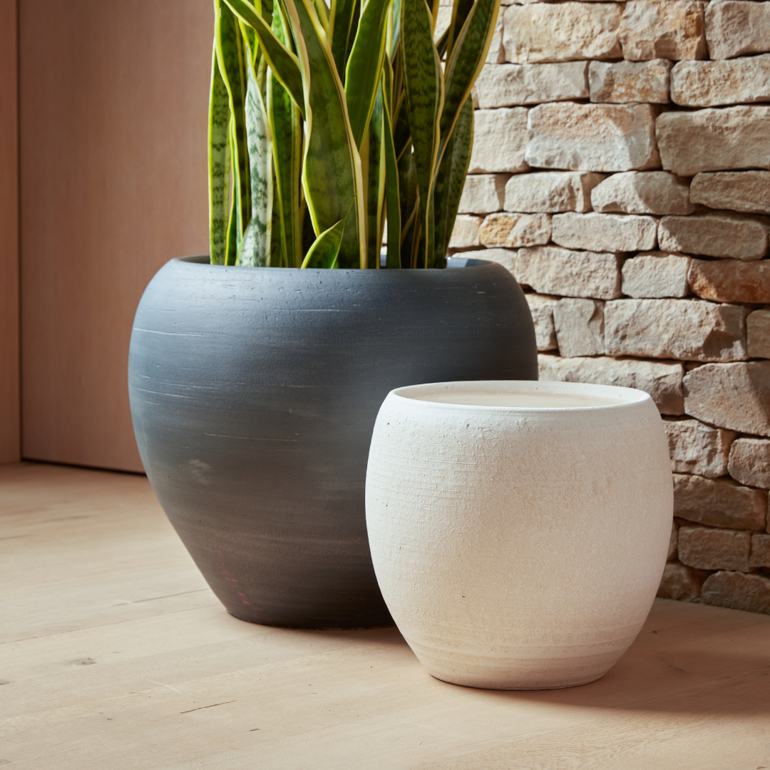 Amora | Indoor Plant Pot