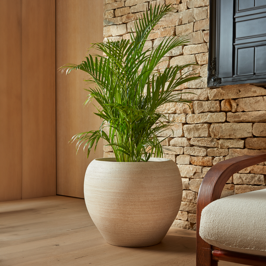 Amora | Indoor Plant Pot