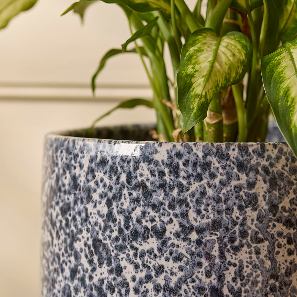 Lotte Ceramic | Indoor Plant Pot